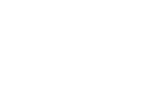 Bullpen Strategy Group logo